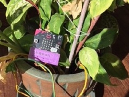 A watering plant with a @boardname@